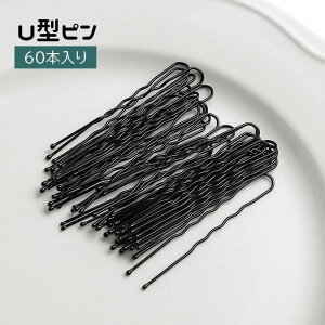 wAs Us 60{ ʕt fB[X wAANZT[  ܂Ƃߔ wAAW Vv  cq  a wACN