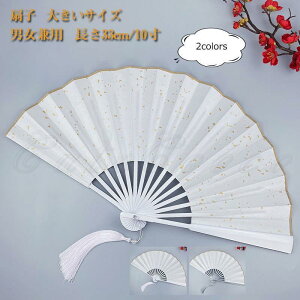 q 傫TCY Y fB[X 33cm/10 | ܂肽 ÓT jp  ҏ΍ Mtg 21NĐV ꂢ 