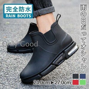 Cu[c CV[Y Y fB[X h h C ~J J΍  RȂ Vi AEghA ނ  ʋ ʊw