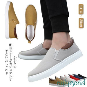 Xb| Y 傫TCY LoX Xj[J[ tbgV[Y ؂  C ItBX  d 24.5-29cm z