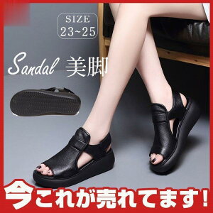 T_ bV  X|[c fB[X ʋC JWA ɂȂ V[Y q[  X|T r[`  r y