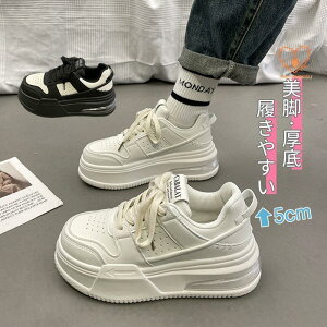 Xj[J[ fB[X EH[LO JWAV[Y C n w ʊw ʋ  t H 