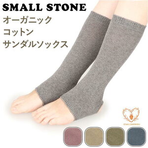 C C fB[X T_\bNX ܐȂC  \bNX ƂȂ gDX I[KjbNRbg  t  t ₦΍ [΍