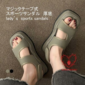 X|[cT_ fB[X T}[T_ }WbNe[v O  ؂ ~ ɂ Vv r AEghA ėp