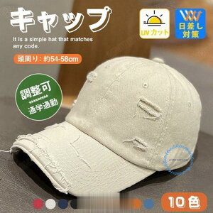 Lbv fB[X [ uv Xq  Y _[W ΍ St n   t H Ȃ ĂXq [NLbv