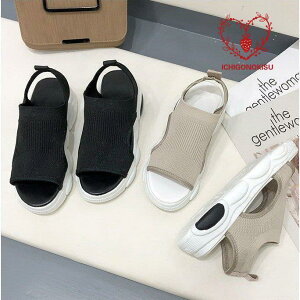 T_ fB[X X|[cT_  X|T tbg T_  ₷ RtH[gT_ V JWA fB[XC