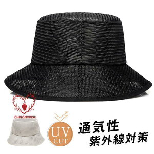 Tt@nbg bV oPbgnbg Y fB[X ΍L Xq ʋC  ܂肽 傫TCY  AEghA ނ oR s