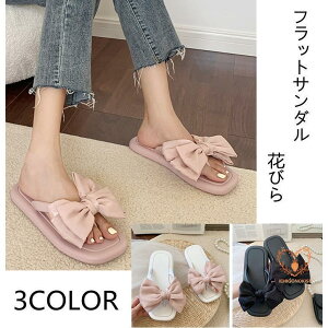 T_ fB[X Ԃт 傫TCY tbgT_