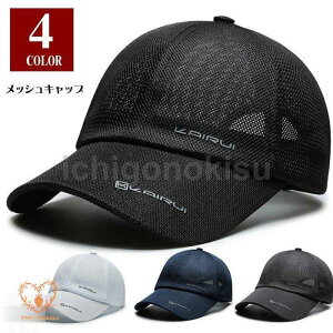 bVLbv Xq Lbv Y fB[X ڂ  MǑ΍ 싅X ʋCQ z UVJbg Ă~ X|[c