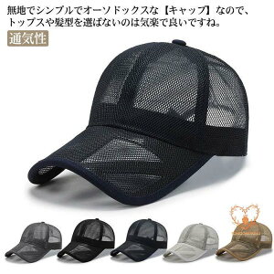 [NLbv bV Y fB[X Xq Lbv    ʋC ΍ j̎q ̎q j  n t 