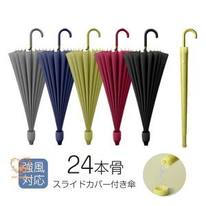 P P JP 傫 24{P ϕ Jp ^b` SՌ ՔM  Jo[t Y fB[X 䕗΍ J΍ ~JΉ