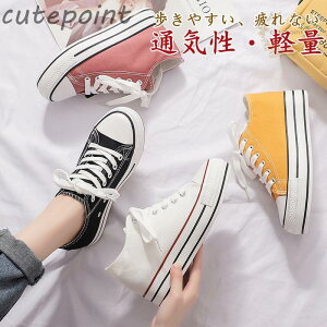 Xj[J[ fB[X Cq[ C LpX V[NbgV[Y Xb| [Jbg  5.5cm ʊw Vv  