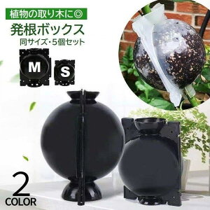 {bNX 5Zbg ؃{[ A ɐB  u ȒPt K[fjO |pi  } ubN NA