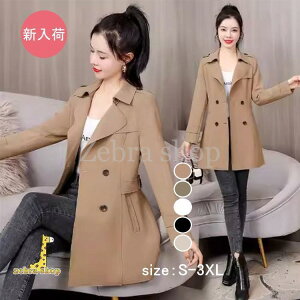 g`R[g fB[X 40 V[g J[L  XvOR[g tR[g AE^[ ʋOL H JWA؍ 30 50 傫TCY