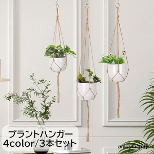 vgnK[ 3{Zbg nLOv^[ nK[lbg CeAG K[fpi ݂艺 ݂邷 [v R ϗtA uE