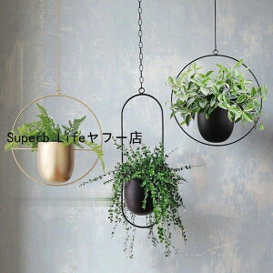 v^[ nMO ݂艺 ACA oXPbg XCO