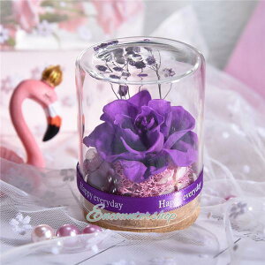 ̓ Mtg  vU[uht[ hCt[ KX ỉ IV ̓ Əj {g a LO bsOς