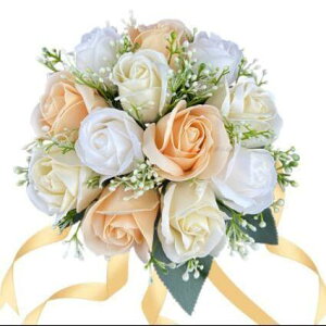 EGfBOu[P u[gjA  EFfBOu[P  ԉ AWg I EFfBOp  uC_u[P