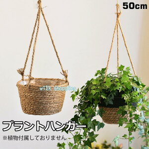 nMOoXPbg ݂蔫 ݂艺 Aؔ nMOv^[ ϗtA Ԕ t[|bg vgnK[