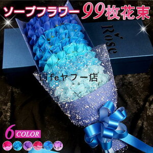 \[vt[ ԑ Mtg u[P ԑ   {bNX o Cxg v[g