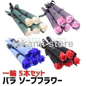 ԑ AWg Mtg v`Mtg o \[vt[ Ό v[g zCgf[ ̓ NX}X  5{Zbg