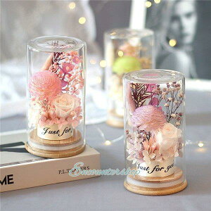 ̓ Mtg  vU[uht[ hCt[ KX ỉ IV ̓ Əj {g a LO