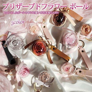  vU[uht[ {[ L[z_[ Xgbv ͂Ȃ j LO j a v[g hV̓ ̓ Mtg ̓