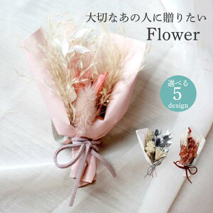 hV̓v[g hCt[ J[u[P XbO u[P ̓ XbO ԑ  Mtg j zj j ސEj