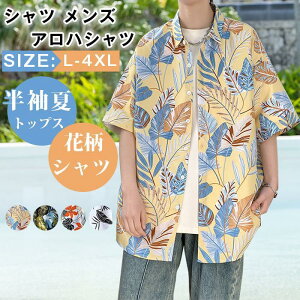 Vc Y AnVc   gbvX ԕVc JWA  J s C ʊw t@bV