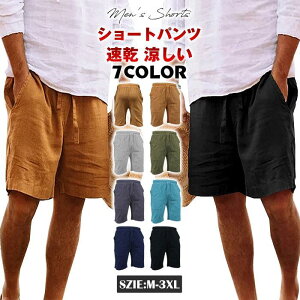 V[gpc Y n[tpc Ȗ r[`EFA Y{ 傫TCY