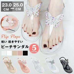 r[`T_ T_ fB[X gOT_ ؂ Vv y ₷