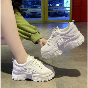 Xj[J[ fB[X Xj[J[ _bhV[Y _bhXj[J[ gAbv EH[LOV[Y ؍ r r