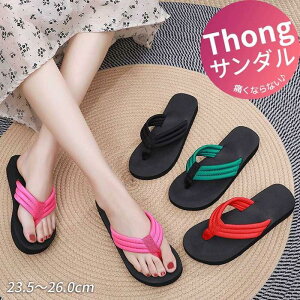 gOT_ C[W[T_ fB[X T_ y r[`T_ r[T ][gT_  y^R 傫