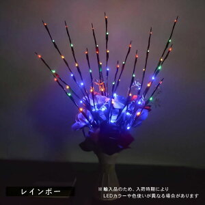 Ɩ [d z Ԓd  O  _ h ߍ  O S3F K[fCg 3{Zbg 80cm u`c[