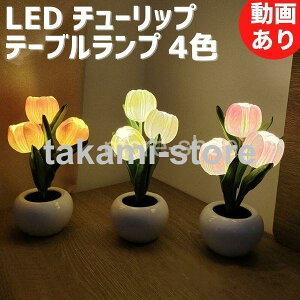 e[uCg e[uv  `[bv 3CeA ԐڏƖ [Cg LED Ɩ xbhTCh  fXN rO v[g a