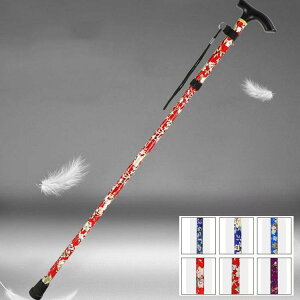 1A2{Zbg gbLO|[ oR XgbN y ܂ oRp y EH[LO|[ oR