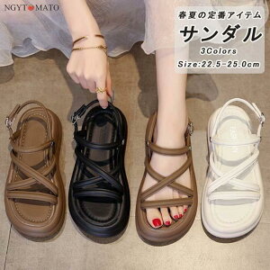 T_ fB[X X|[cT_  T_ Xgbv I[vgD ₷ ₷  r  JWA ʋ ʊw l 