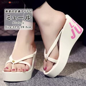 r[`T_  EFbW\[ ~[ fB[X gOT_ Xgbv T| y r ~ 8cm ₷   ؍ 