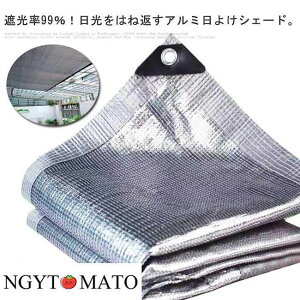 Ռlbg VF[h 悯 VF[h A~ TVF[h O΍ 悯XN[ MǑ΍ UVJbg O  TVF[h ډB