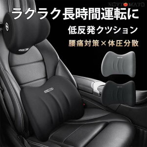  NbV  J[NbV V[gNbV wbhXg   w ᔽ Ȃ hCu S ^]  ʋC j 