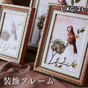 tHgt[ 5TCY  AeB[N |XgJ[hʐ^TCY g ʐ^ 