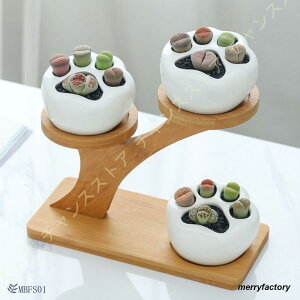 L̑ t[|bg  CeA T{e K[fjOG 킢 ANZT[ CeAG K[fjOu v^[ ˂