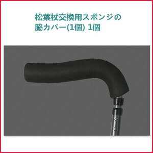 tpX|W̘eJo[2+̑2+X|WObv2