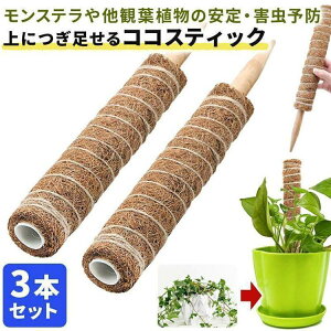 RRXeBbN 3{Zbg Xe x ϗtA  v^[ Aؔ A |x ϗtx K[fjO RRXeBbNx