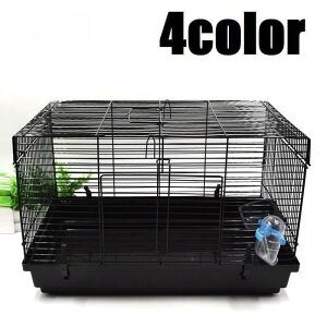 pP[WnX^[ybgpiybgObYObYX^_[hVvpi珬ubNsN