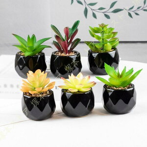 tFCNO[ lHA 킢 lHϗtA ^ ~j A CeA  sv bsv N₩ȐF ϗtA lHϗtA