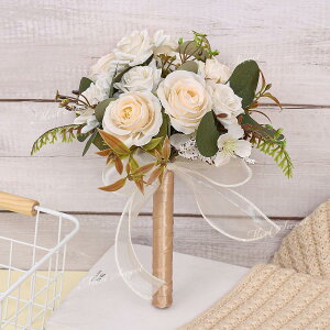 u[P uC_u[P Ehu[P EGfBOu[P ԉ    񎟉 I B ][g Mtg v[g Vp