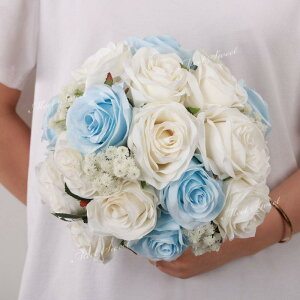 u[P uC_u[P Ehu[P EGfBOu[P ԉ    񎟉 I B ][g Mtg v[g u[ 