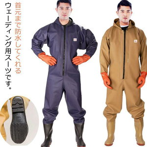 Y EF[_[ tC ʋC h  t[ht `FXgnCEF_[ fB[X C t[ht EF[_[ Y z _ h