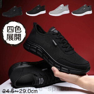 Xj[J[YɁ[[EH[LOV[YJWALyʃjOV[YX|[cV[Y₷bVȂ